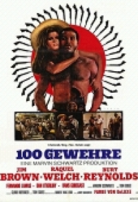 100 Gewehre Cover