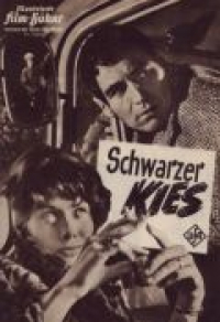 Schwarzer Kies Cover