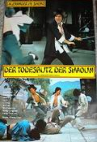 Der Todesblitz der Shaolin Cover