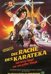 Die Rache des Karateka Cover