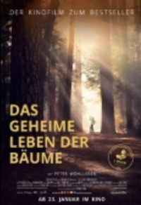 Das Geheime Leben der Bäume Cover