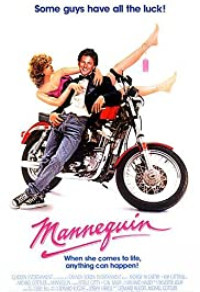 Mannequin Cover