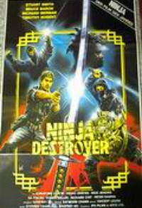 Ninja Destroyer Cover