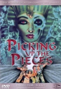 Picking Up the Pieces Cover