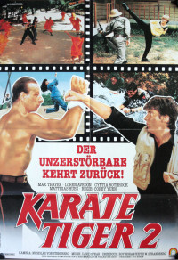 Karate Tiger 2 Cover