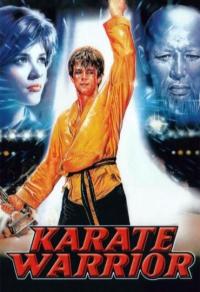 Karate Warrior Cover