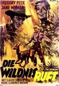 Die Wildnis ruft Cover