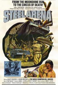 Steel Arena Cover