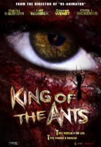 King of the Ants Cover