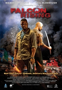 Falcon Rising  Cover