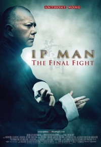 Ip Man: The Final Fight Cover