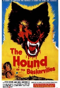 Der Hund von Baskerville Cover