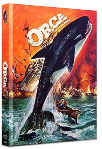 Orca - der Killerwal Cover D