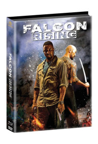 Falcon Rising  Cover C (Wattiert)