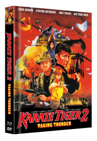 Karate Tiger 2 Cover C