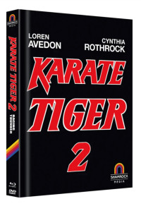 Karate Tiger 2 Cover H