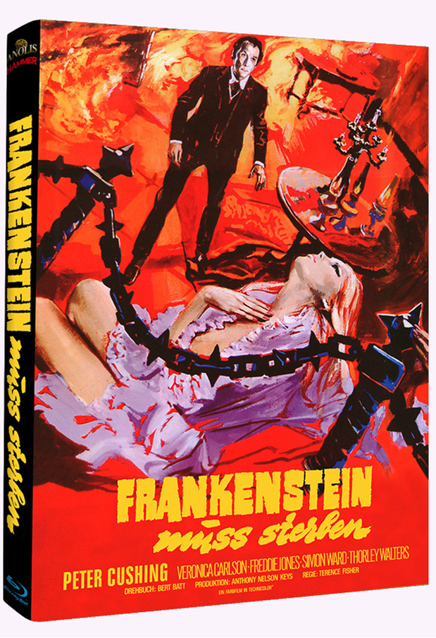 Frankenstein muss sterben Cover D