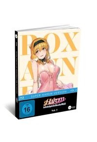 Harem in the Labyrinth of Another World Mediabook Vol. 2 (Blu-ray)