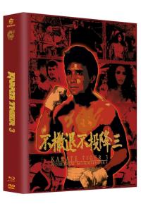 Karate Tiger 3 - Blood Brothers Megabook Cover F