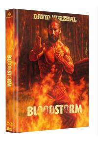 Bloodstorm Cover B
