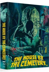 Das Haus an der Friedhofmauer Cover D  (4K Ultra HD/UHD)