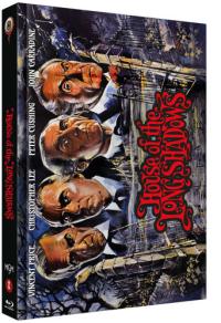 Das Haus der langen Schatten Cover B