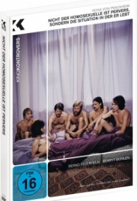 Nicht der Homosexuelle ist pervers, sondern die Situation, in der er lebt Limited Mediabook