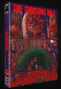 The Sideling Hill Cover D