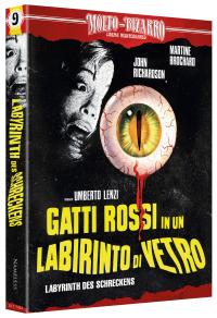 Labyrinth des Schreckens Cover A