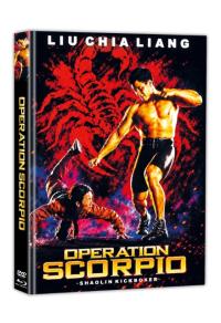 Shaolin Kickboxer Cover D
