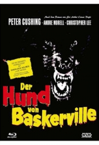 Der Hund von Baskerville Cover B