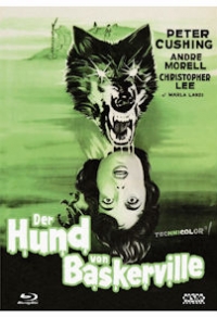 Der Hund von Baskerville Cover D