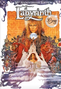 Die Reise in´s Labyrinth Limited Collectors Edition