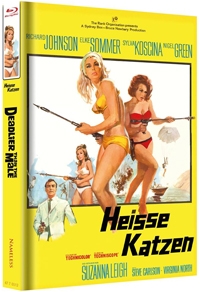 Heiße Katzen Cover B