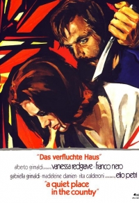 Das verfluchte Haus Cover C