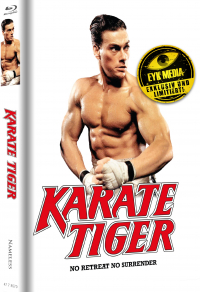 Karate Tiger Cover E