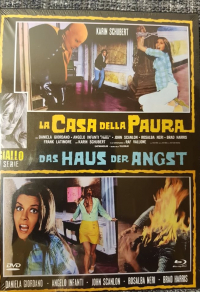 Das Haus der Angst Cover E