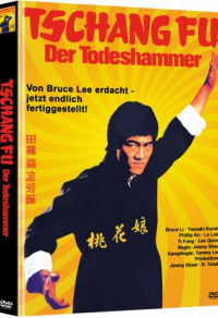 Tschang Fu - Der Todeshammer Cover A