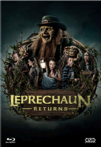 Leprechaun Returns Cover D