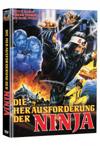 Die Herausforderung der Ninja Cover A