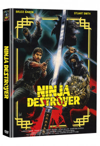 Ninja Destroyer Cover A