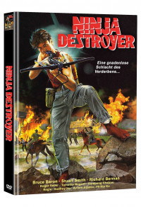 Ninja Destroyer Cover B