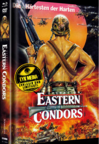 Eastern Condors Cover B