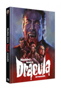 Nachts, wenn Dracula erwacht Cover C