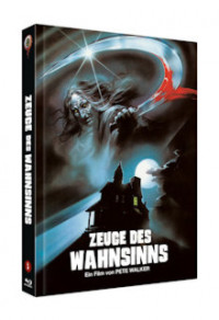 Zeuge des Wahnsinns Cover B