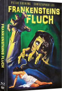 Frankensteins Fluch Cover D