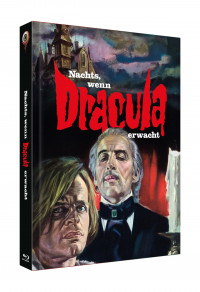 Nachts, wenn Dracula erwacht Cover D