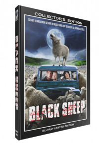 Black Sheep Cover C