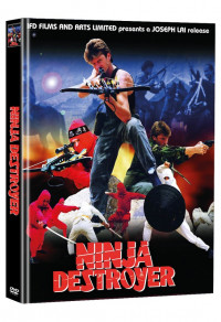 Ninja Destroyer Cover C