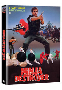 Ninja Destroyer Cover D